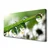 tulup.si Slika na platnu Grass nature dew drops 120x60 cm