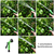 [pro.tec]® Raztegljiva vrtna cev za zalivanje 15 m z razpršilnim nastavkom s 7 vrstami curkov zelena