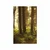 Plakat gozd obsijan s soncem - 20x30 silver