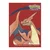Ultra Pro Pokemon Desk Protector Sleeves 65 - Mega Charizard Y