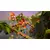 ACTIVISION BLIZZARD Igrica za Switch Crash Bandicoot 4 Its about time