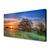 tulup.si Slika na platnu Sun travnik landscape 140x70 cm