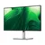 Dell P2425D