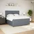 Vidaxl Box spring postelja z vzmetnico temno siva 200x200 cm žamet