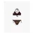 Scalpers Bikini    rjava