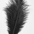 SuperLove Deluxe Ostrich Feather Tickler