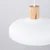 Sollux SL.1323 - Luster INDY na sajli 1xE27/15W/230V O 38 cm bela