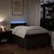 Vidaxl Box spring postelja z vzmetnico temno rjav 120x200 cm blago