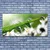 tulup.si Slika na platnu Grass nature dew drops 125x50 cm