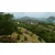 Switch 2 Tropico 7