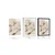Plakat s paspartujem speči angel - 20x30 black