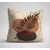 Aberto Design Set dekorativnih jastučnica Asr_plw25-49, 43x43 cm, 3 komada, Šarena