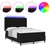 LED Box Spring Krevet s uzglavljem Crna 160 x 200 cm tkanina