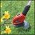 Einhell Trimer za travu GE-CT 18 Li (1x 2,5Ah)