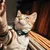 INF Adjustable Reflective Cat Collar with Silicone AirTag Holder, Waterproof Black, (5000214788)