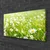 tulup.si Slika na platnu Daisy travnik narava 100x50 cm