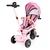 Eco Toys Tricikl 2u1 sa rotirajućim sedištem i sklopivom tendom, Roze