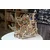shumee uGEARS 3D leseno dvigalo za ravni sestavljanke