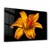 CAM-5025 - Višenamenska Tempered Staklena Slika 46 x 72 cm