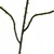 Gardlov Umetni listi 47 cm - komplet 12 kosov. Gardlov 22557