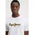 Pepe Jeans Bombažna kratka majica DORIAN TEE
