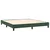 Vidaxl Box spring postelja z vzmetnico temno zelena 160x200 cm žamet