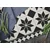 Decormat PVC podloga Črno -bele zvezde 150x225 cm