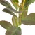 Umetna vejica (višina 37 cm) Lemon Tree – Ixia