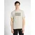 TOM TAILOR DENIM Majica temno siva/bela/off-bela