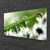 tulup.si Slika na steklu Grass nature dew drops 100x50 cm 4 obešalnika