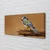 tulup.si Slika na platnu Bird 120x60 cm