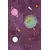 CONCEPTUM HYPNOSE Tepih (180x280) HMNT510