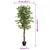 Umetni limonovec s 3 debli zelen 180 cm PP
