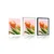 Plakat s paspartujem elegantni tulipan - 30x45 no frame