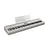 Digitalni pianino bel prenosni FP-60 WH Roland