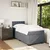 Vidaxl Box spring postelja z vzmetnico temno siva 80x200 cm žamet