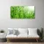 tulup.si Slika na platnu Narava grass drops 100x50 cm