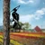 Aberto Design Dekorativna figura Bird On The Branch 10, 22x40 cm, 1.5 mm