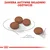 Royal Canin Mini Digestive Care - 1 kg