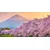 Slika čudovita Japonska - 120x60