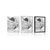 Plakat svobodni angel v črnobeli varianti - 60x90 silver