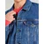 LEVIS  Prehodna jakna moder denim