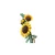 LEGO Botanicals Buket suncokreta 11502, Uzrast 18+