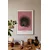 WallXpert uramljena slika 115214, The Black Peacock Ohare Kosona, crni paun, ružičasta pozadina, 50 x 70 cm, beli ram