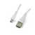 Punjač za telefon, Tip C, 2.1A, 5V, 10W