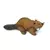 Safari Bober