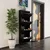 HANAH HOME Ormar za cipele Locking 4 Piece Metal Black