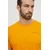 La Sportiva Kratka majica Back Logo