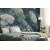 Fototapeta kapljice rose na travi - 245x165