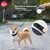 Hipidog Povodac za pse, 5 m, Beli